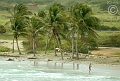 Isla de Margarita (65)